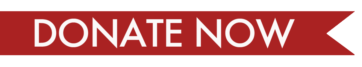 Donate_Now
